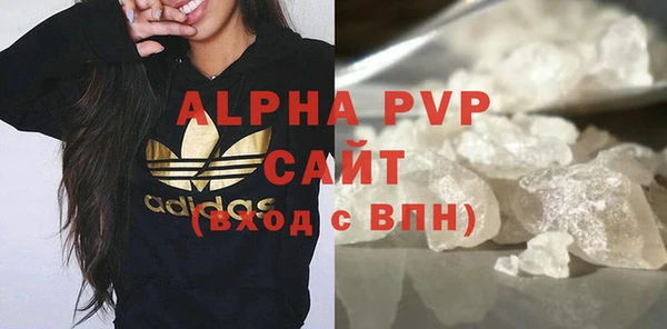амф Бородино