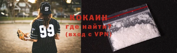 амф Бородино