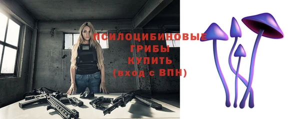 амф Бородино