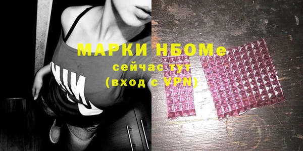 амф Бородино