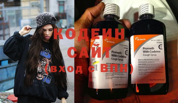 амф Бородино