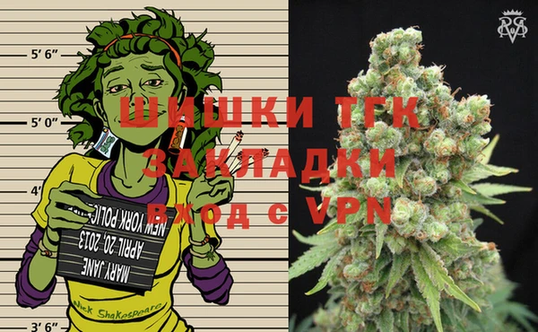 амф Бородино