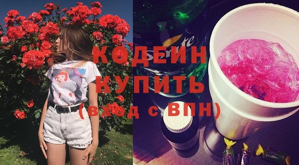 амф Бородино